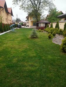 a yard with a bench in the grass at Izabella Guest House in Săcele