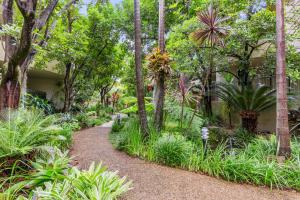 un giardino con piante e alberi e un vialetto di Spacious 2-Bed 2-Bath Moments from Avalon Beach a Avalon