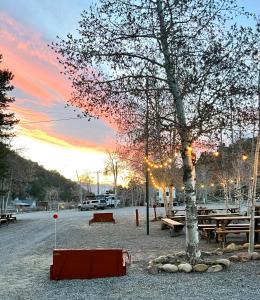 a tree and picnic tables in a parking lot with a sunset at Willow Springs Resort in Bridgeport +18 photos