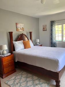 a bedroom with a large bed and a window at Pond View Apartment in Pamphret