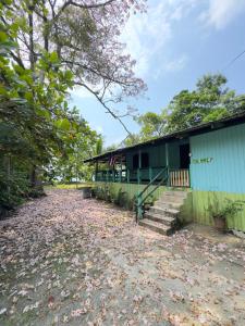 a green building with stairs leading up to it at Casa Mamré in Cahuita