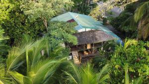 an overhead view of a house in the forest at Casa Mamré in Cahuita