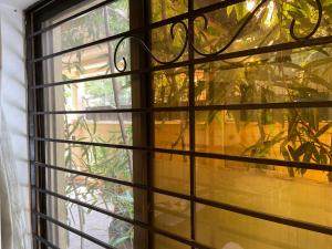 okno z widokiem na roślinę w obiekcie E Lodge w mieście Islamabad