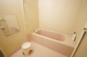 A bathroom at ピーポロ乗鞍
