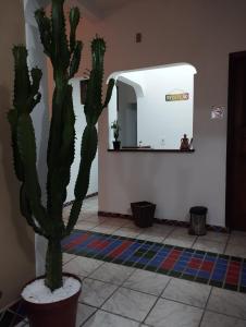 Fotografie z fotogalerie ubytování Pousada Ray Sol - Centro Arraial d Ajuda v destinaci Porto Seguro