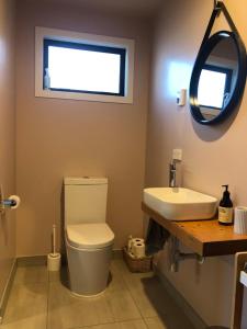uma casa de banho com um WC, um lavatório e um espelho. em East Rock em Queenstown