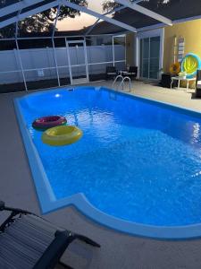 ein Pool mit zwei Frisbeen im Wasser in der Unterkunft House in Tampa with Private Pool and more in Tampa