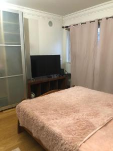 a bedroom with a bed and a flat screen tv at Apartamento Lisboa in Lisbon