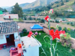een rode bloem staat voor een huis bij Casa de Campo-Hospedaje Munay Wasi in Tarma