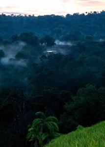 Φωτογραφία από το άλμπουμ του El Nido Cúbico σε Pavones