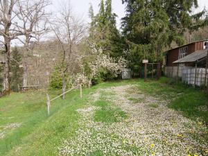einen Hof mit weißen Blumen im Gras in der Unterkunft Belvilla by OYO Il Cerro in Maresca