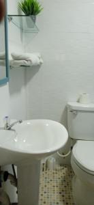 La salle de bains blanche est pourvue de toilettes et d'un lavabo. dans l'établissement Residencial derosas, 