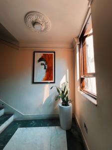Fotografie z fotogalerie ubytování Hotel Bodhiz v destinaci Kathmandu