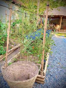 una cesta con plantas en un jardín en P&M Final Option Beach Resort, en San Juan