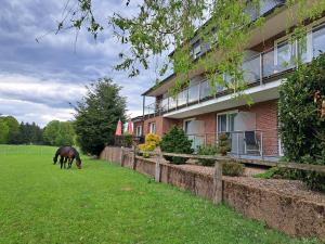 un pâturage à cheval dans l'herbe devant un bâtiment dans l'établissement Dat lütte Heidehotel Funk - Garni, à Bispingen