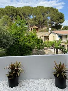 two potted plants sitting on top of a white fence at Pirella House in Limassol