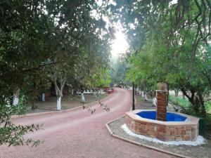 A garden outside BELLA CISTERNA