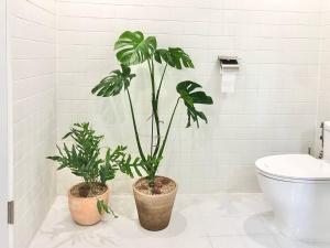 two potted plants in a bathroom with a toilet at Josuri& in Jeju