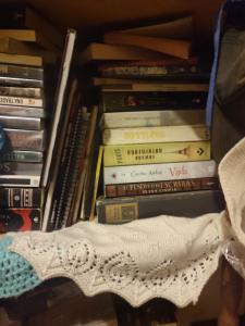 Knihovna v apartmánu