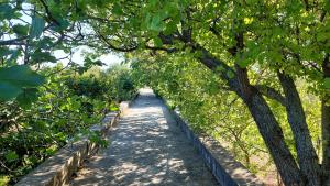 A garden outside BELLA CISTERNA