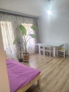 a room with a bed and a potted plant at "STAIRS"guest house in Yerevan