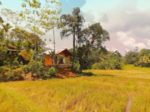 uma casa no meio de um campo em Serenity Retreat - Sinharaja em Deniyaya