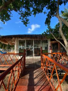 een gebouw met een hek en een boom bij Ikarus kiteboarding in Isla Mujeres