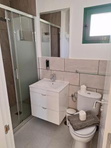 een badkamer met een toilet, een wastafel en een douche bij ALCALDE MARCIAL SANCHEZ VELAZQUEZ 15 in Caleta De Fuste