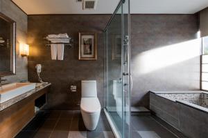 三峽區的住宿－大板根森林溫泉酒店，带淋浴、卫生间和盥洗盆的浴室