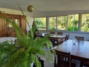 a dining room with a table and a plant at Le Clos des Mimosas in La Plaine des Palmistes +10 photos