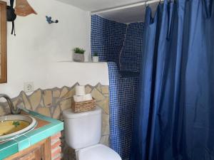 La salle de bains est pourvue de toilettes et d'un rideau de douche bleu. dans l'établissement Estudio Rural el Acebuchal by At Home Costa del So, à Acebuchal 11 autres photos