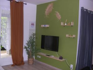 sala de estar con TV en una pared verde en Gîte Ammonite, en Chauzon