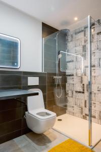 La salle de bains est pourvue d'une douche et de toilettes. dans l'établissement Loft Near Basel Airport, à Hésingue