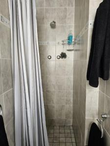 a shower with a shower curtain in a bathroom at Senelle accomodation in Hermanus