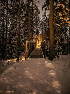 Trakt Forest Hotel Skogssviter v zimě