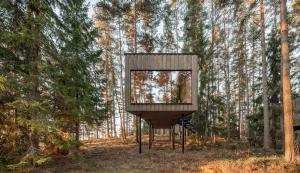 une cabane dans les arbres au milieu d'une forêt dans l'établissement Trakt Forest Hotel, à Holsbybrunn