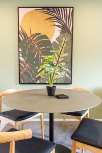 una mesa con una planta encima en Sunny townhouse Central city 2 bedroom, en Christchurch