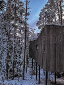 Trakt Forest Hotel Skogssviter v zimě