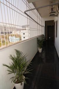 a hallway with two potted plants in a building at HOTEL ROYAL SUITES AND ROOMS Near AIG Hospital Gachibowli in Gachibowli