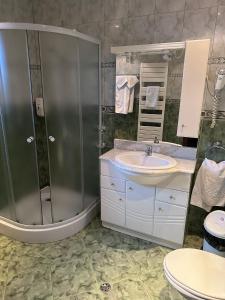 een badkamer met een douche en een wastafel bij Erene Hotel in Câmpulung Moldovenesc