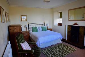 a bedroom with a large bed and a fireplace at Rural Farmhouse on Kintyre, West Coast hidden gem in Kildalloig