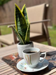 eine Tasse Kaffee auf einem Tisch mit einer Pflanze in der Unterkunft Chwile w Starym Sączu, sauna i beczka in Stary Sącz