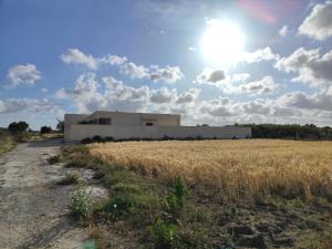 a building in the middle of a field of grass at Villa Nour Kélibia in Kelibia