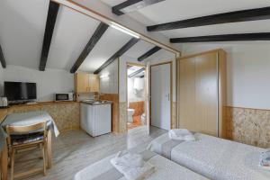 Kuchyň nebo kuchyňský kout v ubytování Apartments Smile by Rent Istria
