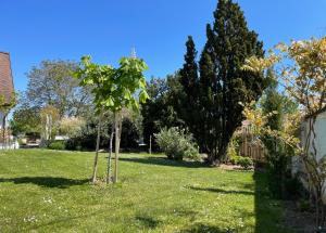 Vonkajšia záhrada v ubytovaní Weinlandhaus