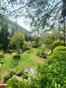 a garden with lots of flowers and plants at SAKURA VILLA - Venuestay in Da Thien +31 photos