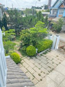 a garden with a tree and some bushes at SAKURA VILLA - Venuestay in Da Thien