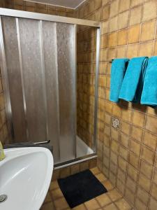 a bathroom with a shower and a sink and blue towels at Appartement Zugspitze 2 in Ehrwald