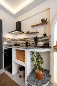 a kitchen with a counter top with a plant at Peyare Aparts in Istanbul
