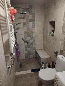 uma casa de banho com um chuveiro e um WC. em Natalie em Tsqnetʼi